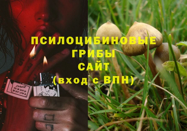 COCAINE Богородск