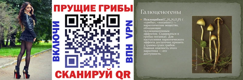 где купить наркоту  Игра  Псилоцибиновые грибы мухоморы 
